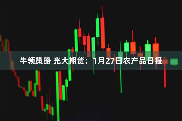牛领策略 光大期货：1月27日农产品日报