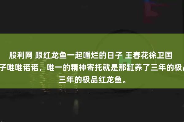 股利网 跟红龙鱼一起嚼烂的日子 王春花徐卫国 老爸这辈子唯唯诺诺，唯一的精神寄托就是那缸养了三年的极品红龙鱼。