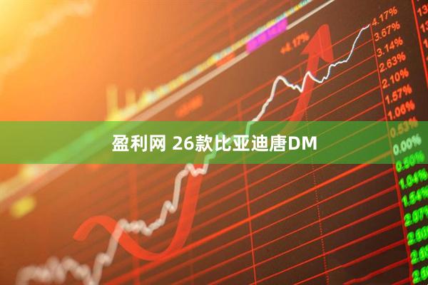 盈利网 26款比亚迪唐DM